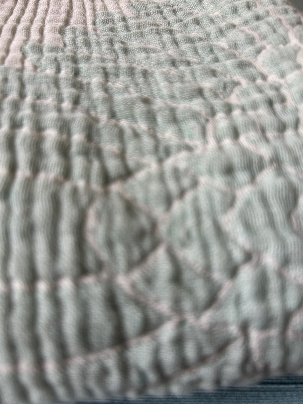 Luxury Jacquard Woven Blanket Swedish Blue Green Luxury Cotton 55 x 77 NEW! - Picture 5 of 16